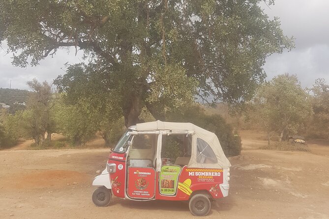 Tuk Tuk Tour- the Best Way to See Coast and Country Side - Last Words