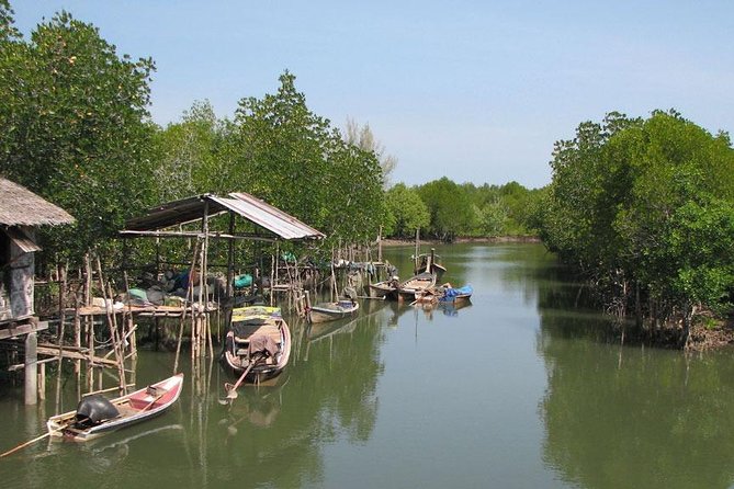 Tung Yee Peng Mangrove Forest Tour By Longtail Boat From Koh Lanta - Review Insights