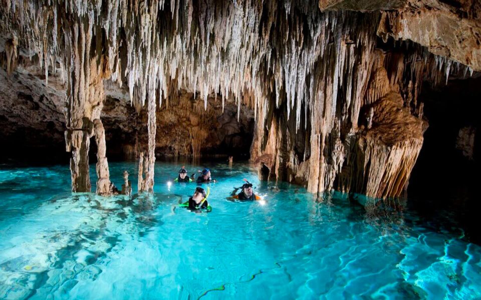 Turtles and Cenotes Tour - Safety and Guides