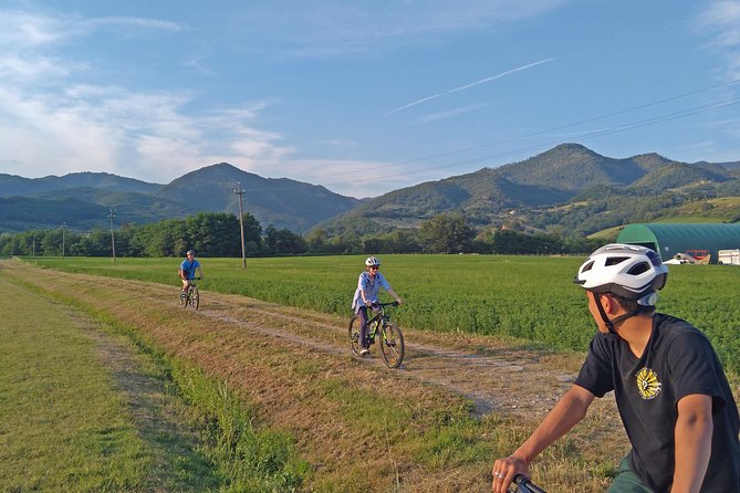 Tuscan Countryside Bike Tour and Food Tasting - Common questions