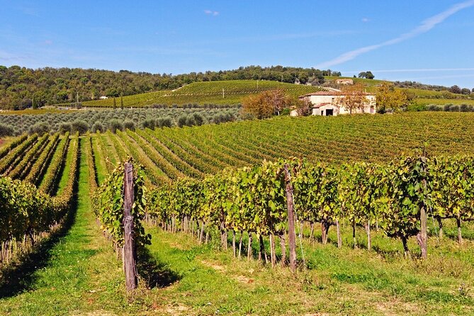 Tuscan Winery Tour and Wine Tasting  - Montecatini Terme - Captivating Photos