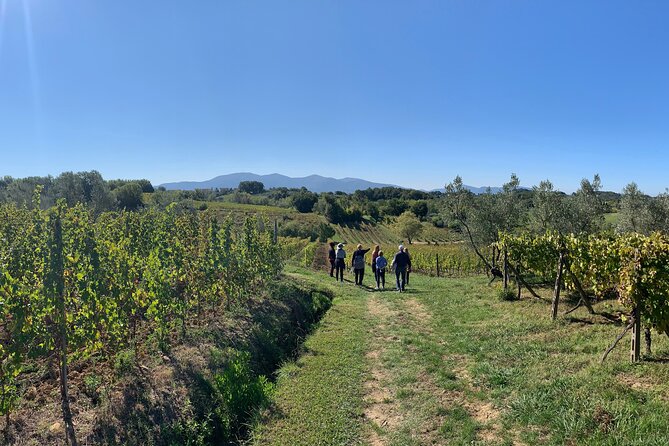 Tuscany and Wine Tasting Private Tour From Livorno - Last Words