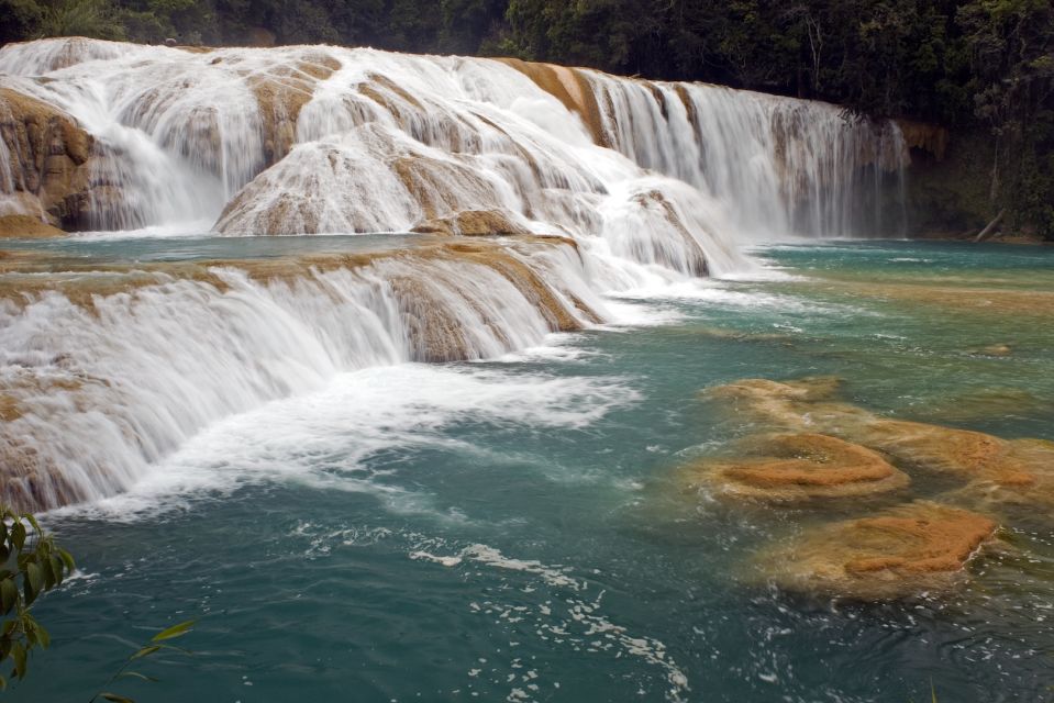 Tuxtla Gutierrez: Palenque Ruins Day Tour With Breakfast - Key Points