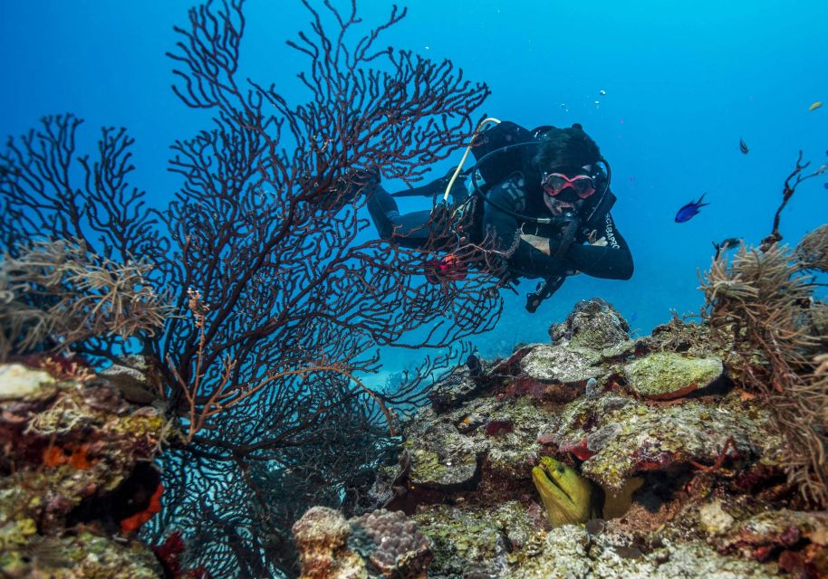 Two Tanks for Certified Divers, Full Gear Included - Cancellation Policy