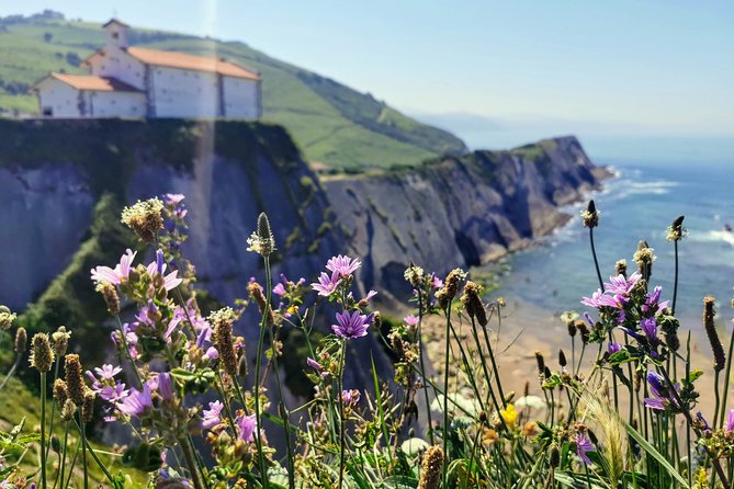 TXAKOLI Vineyards HIKE, ZUMAIA and GETARIA - Private Outdoor & Gastronomic Tour - Last Words