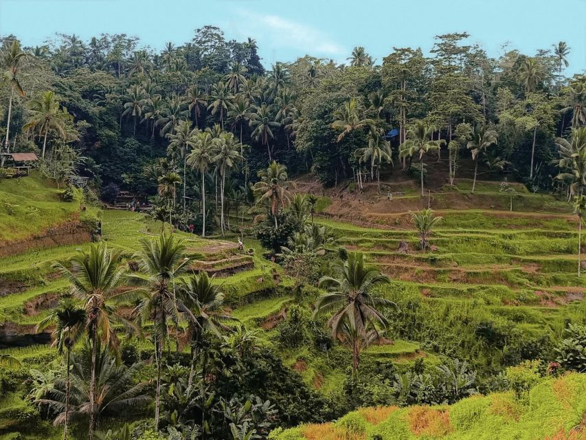 Ubud Best Attractions: Rice Terrace, Waterfall, Swing Tour - Last Words
