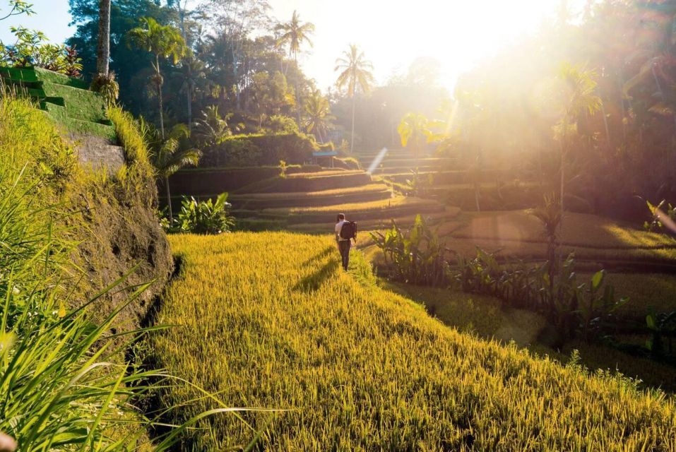 Ubud Eco-Adventure: Farm, Rice Terraces, River & Dance Show! - Inclusions in the Package