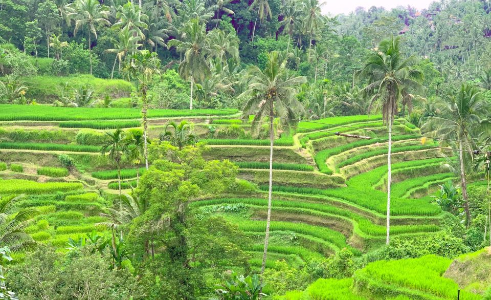 Ubud: Monkey Forest, Rice Terrace & Waterfall Guided Tour - Directions