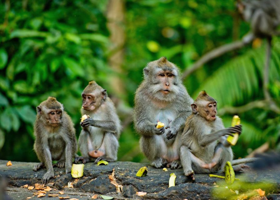 Ubud: Rice Terraces, Waterfall, and Monkey Forest Day Tour - Directions