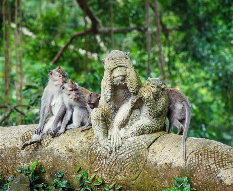 Ubud Sightseeing & Monkey Forest Tour - Last Words