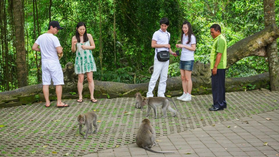 Ubud Tour : Explore the Best Places in Ubud Area. - Natural Beauties of Ubud