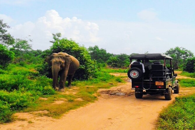 Udawalawe National Park Private Safari With Meal and Transfers  - Galle - Reservation Details