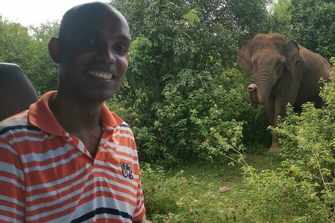 Udawalawe National Park Safari Half-Day Tour From Tangalle - Review Validation Process