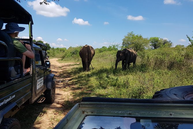 Udawalawe National Park Safari Trip From Galle/Mirissa/Ella - Last Words