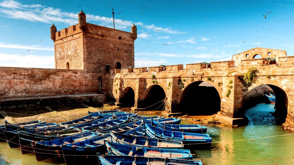 Unveiled: Full Day Escape to Essaouira From Marrakech - Customer Feedback