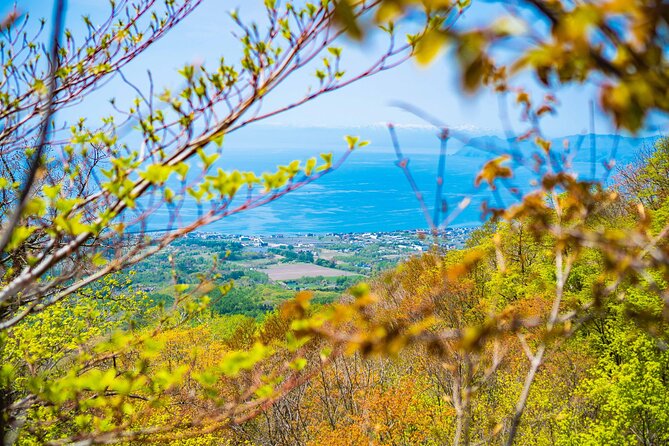 Usuzan Volcano Guided Hiking Private Tour - Common questions