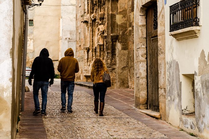 Valencia Jewish Heritage and Roman History Private Tour to Sagunto - Inclusions and Logistics