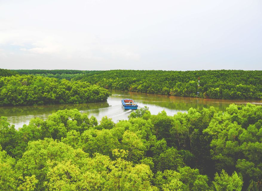 Vam Sat Mangrove Forest Private Tour From Ho Chi Minh City - Guide Expertise and Nature Experience