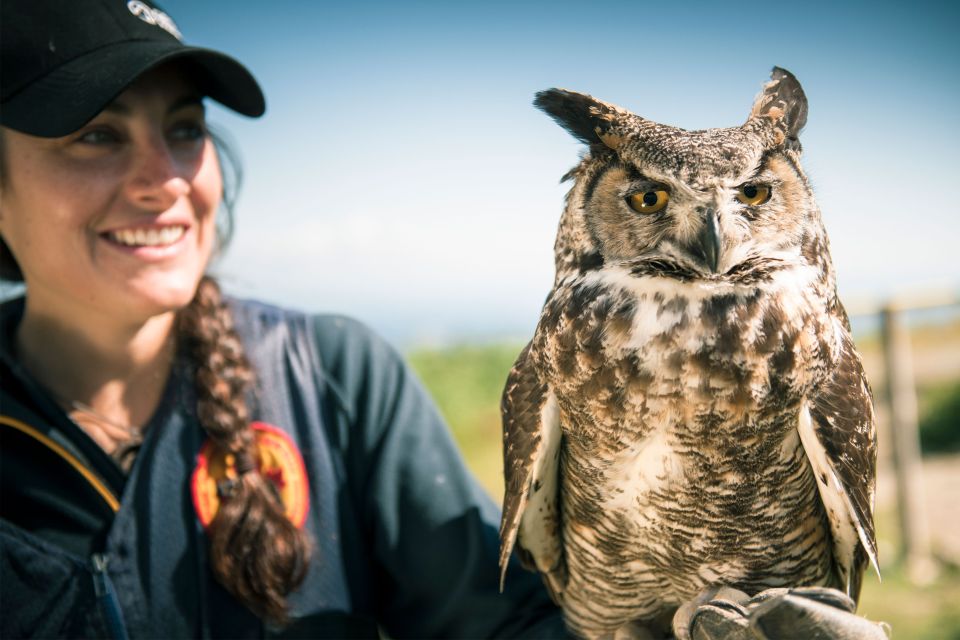 Vancouver: Grouse Mountain Admission Ticket - Last Words