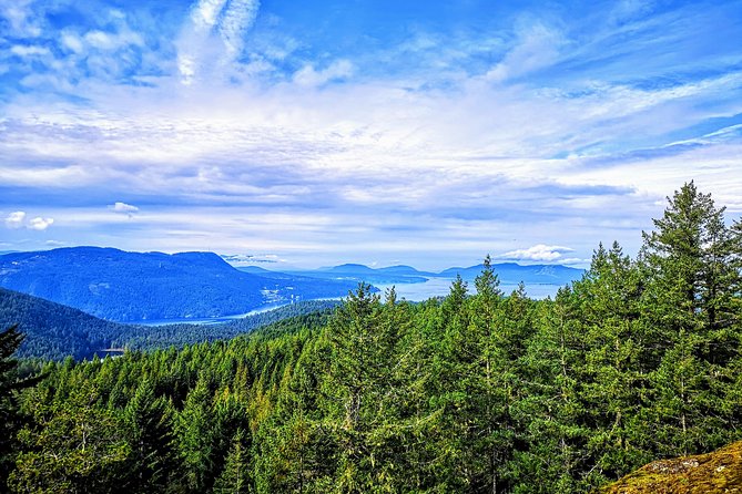 Vancouver Island Rainforest Guided Hike With Private Guide - Last Words