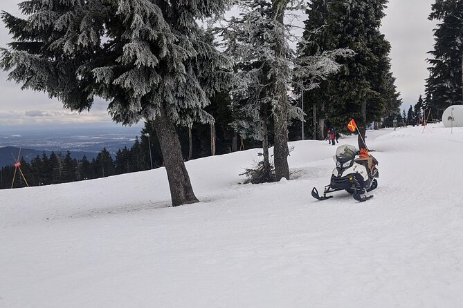 Vancouver Mountain to Mountain (Grouse,Cypress,Mount Seymour) Private - Common questions