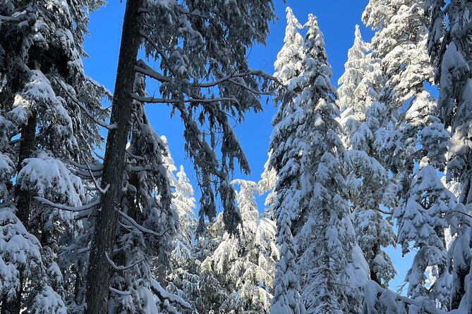 Vancouver: North Shore Mountains Small-Group Snowshoeing Tour - Common questions