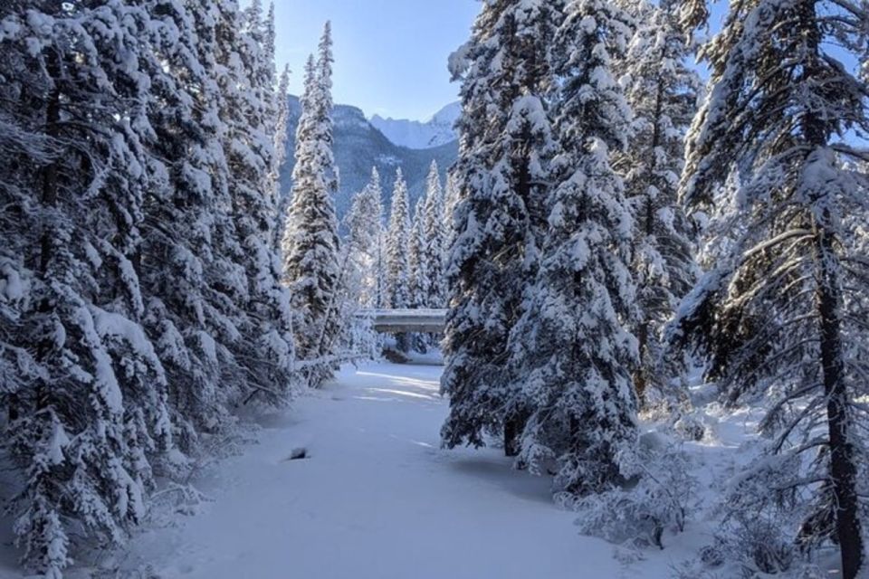 Vancouver Perfect Day Grouse Mountain&Capilano Suspension - Grouse Mountain Overview