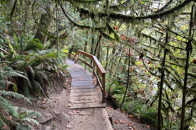 Vancouver Rainforest Hike With Waterfalls, Suspension Bridge, Old Growth Forest - Last Words