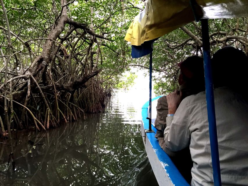 Veracruz: 5-Attraction Tour With Aquarium and Boat Tour - Directions