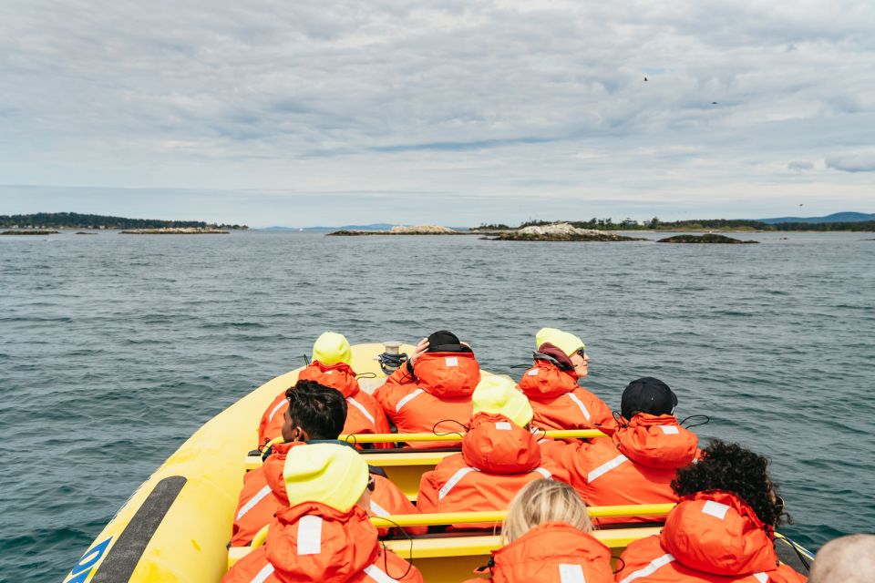 Victoria: 3-Hour Whale Watching Tour in a Zodiac Boat - Background Information