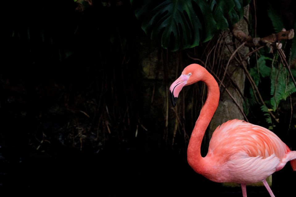 Victoria: Butterfly Gardens Admission Ticket - Visitor Accessibility