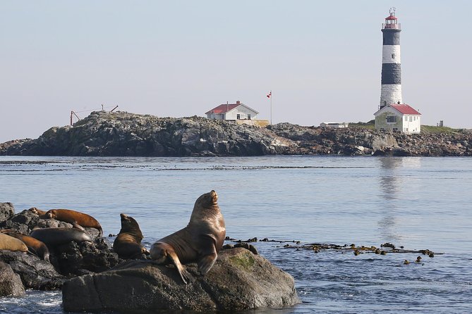 Victoria Whale and Wildlife Cruise - Customer Feedback