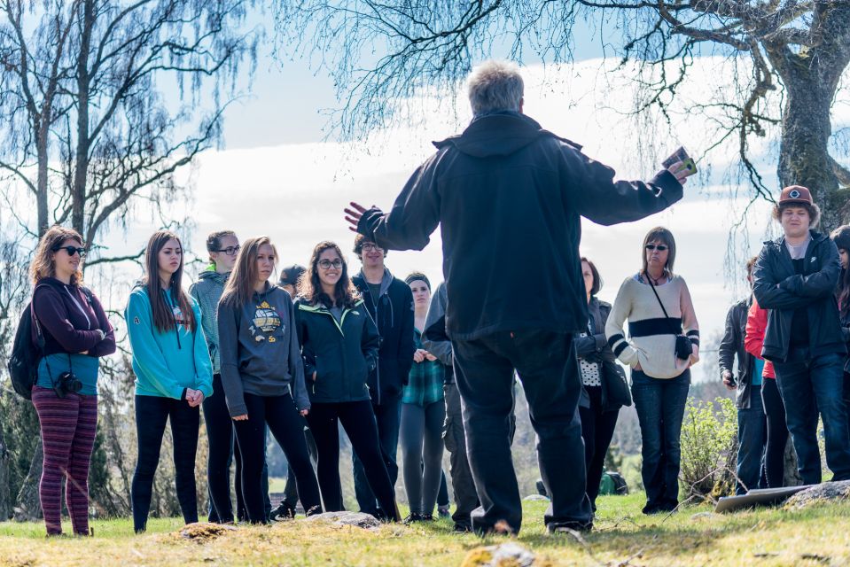 Viking History Day Tour to Sigtuna, Uppsala and Countryside - Memorable Experience in the Countryside