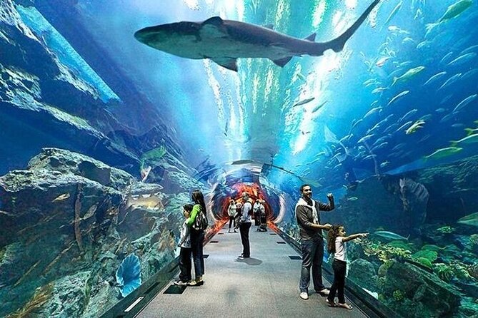 VIP Experience Dubai Aquarium & Underwater Zoo-As per Selection - Last Words