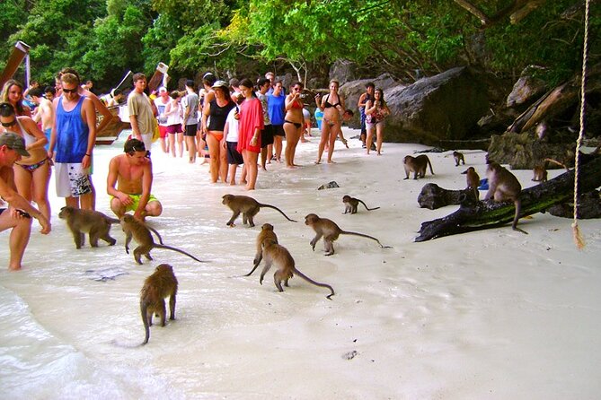 VIP Private Boat to Phi Phi Island: Snorkeling Land Tour - Safety Measures