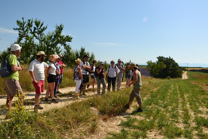 Visit a Lavender Fields Farm and Enjoy a Yoga Class in Provence - Common questions