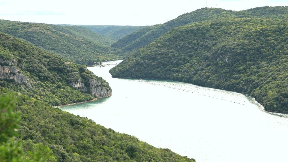 Vrsar: Lim Fjord Boat Tour With Swimming Near Pirate's Cave - Common questions