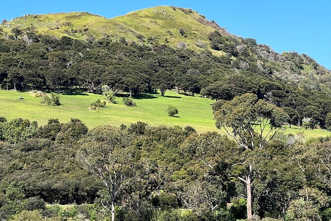 Waiheke Island Private History and Heritage Tour - Additional Resources