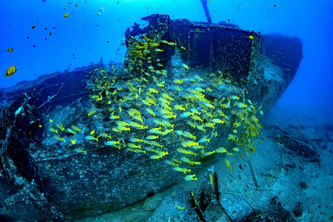 Waikiki Atlantis Submarine Adventure - Memorable Experiences