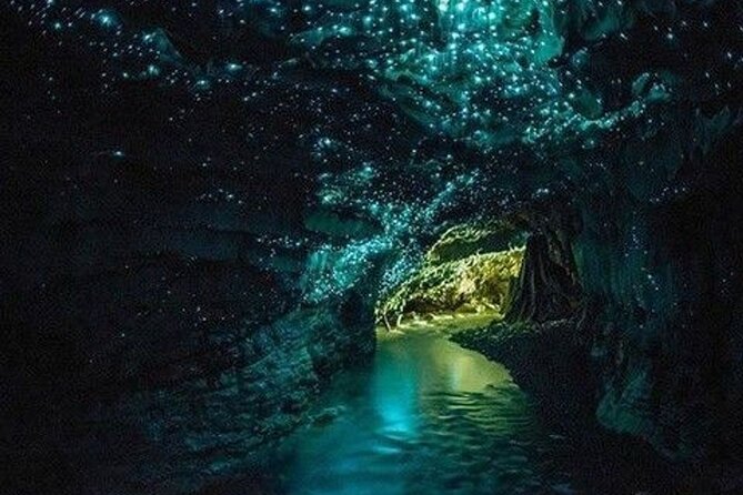 Waitomo Glowworm Caves and Auckland City Tour a Day Trip - Booking Information