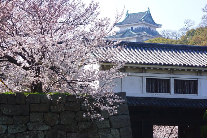 Wakayama Castle Town Walking Tour - Taking in Local Culture