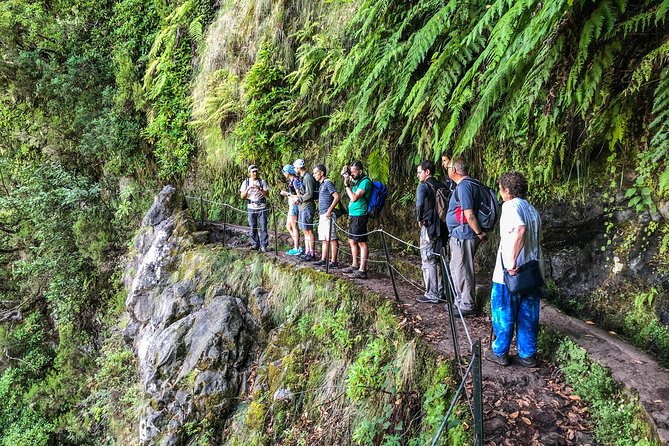 Walk With a Local - Enhancing Cultural Understanding