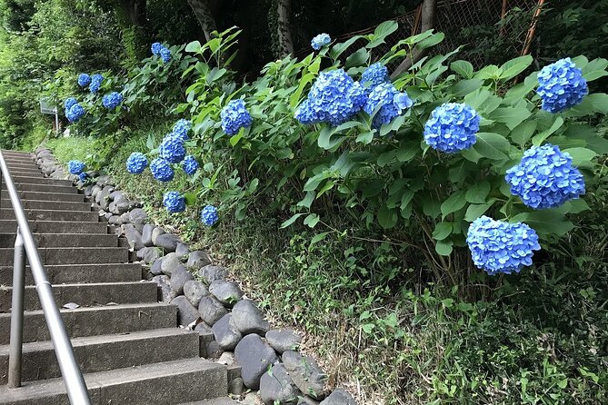 Walking the Only Valley in Tokyo, Eat and Compare Hot Pot Dishes. - Common questions