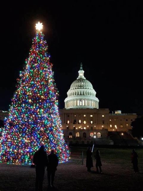 Washington DC: Moon Light Tour of National Mall & Memorials - Transportation and Amenities