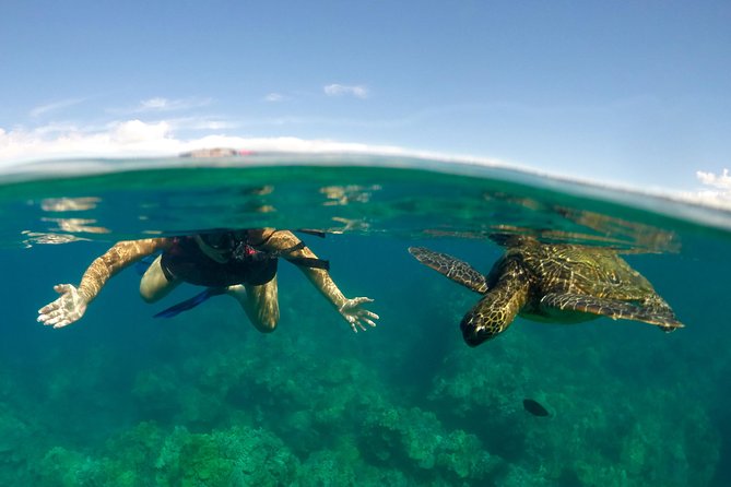 Waterfall Hike and Kayak Snorkel & Paddle From Makena - Last Words