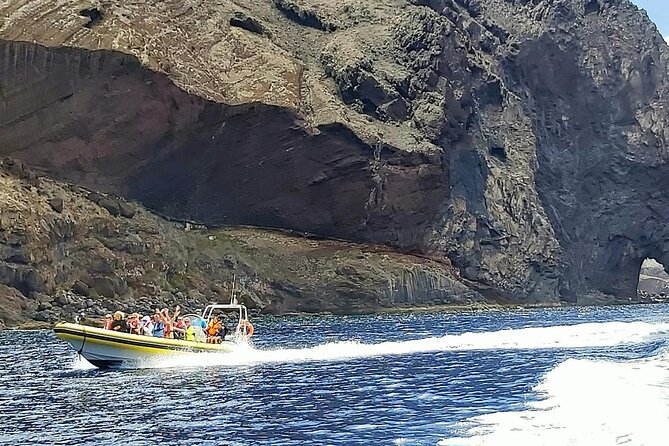 Whale & Dolphin Watching in Madeira - Booking Tips