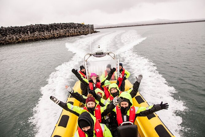 Whale Watching by RIB Speedboat From Downtown Reykjavik - Tour Highlights