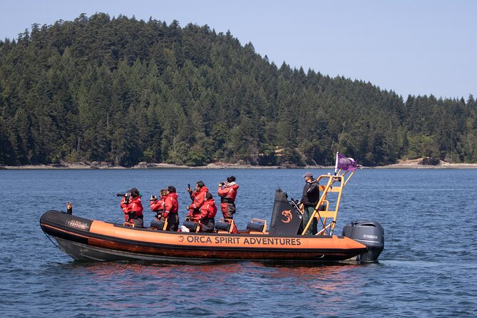 Whale Watching Tour in a Zodiac Boat in Victoria - Last Words