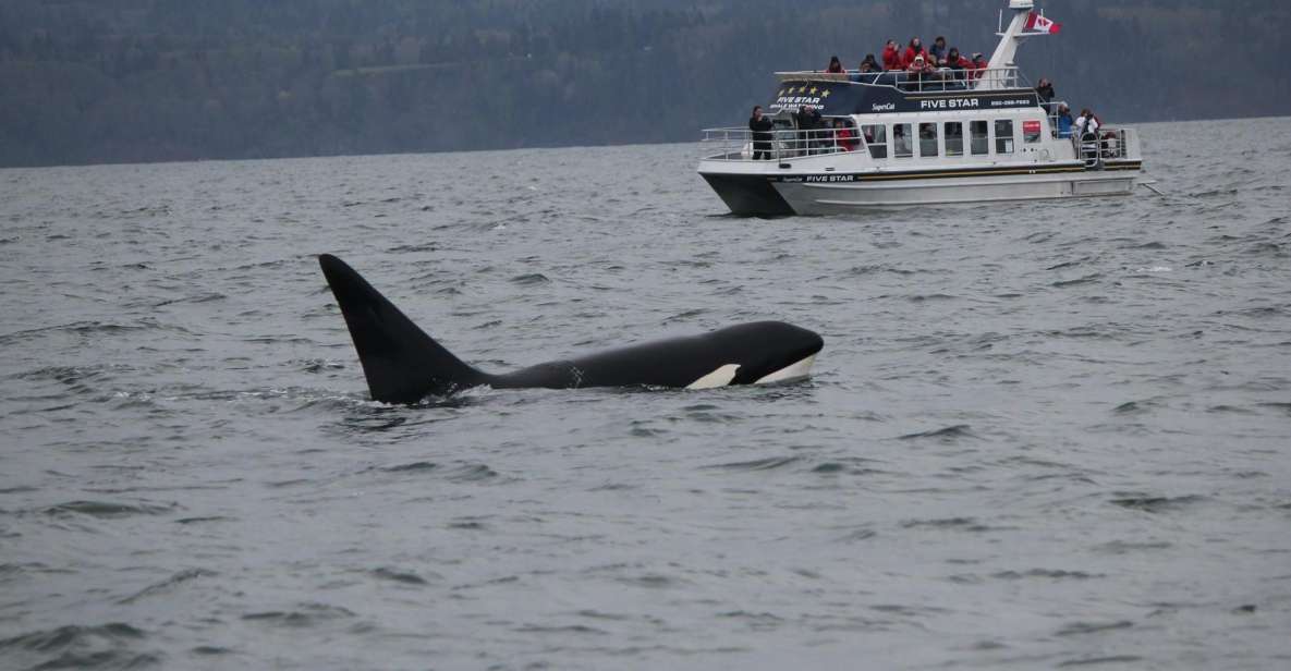 Whale Watching Tour in Victoria, BC - Directions to Starting Location