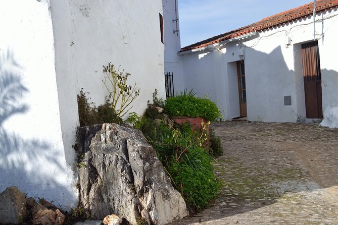 White Villages of Huelva Private Full Day Tour - Customer Testimonials